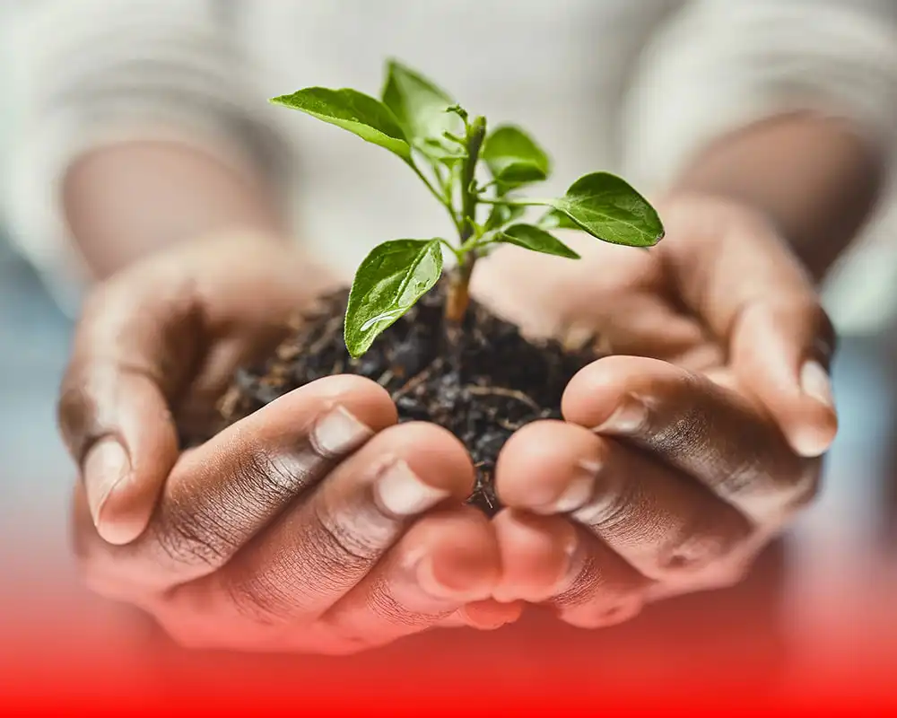 Image de la promotion de la campagne Back to school.